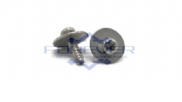 Phillips Pan Head Self Tapping Screws with Big Washer