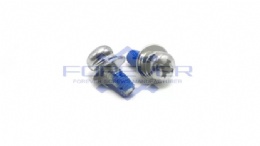 Pan Head with Double Washers Sems Screws