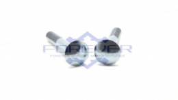Fastenal Carriage Bolts